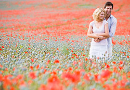 flower field visit