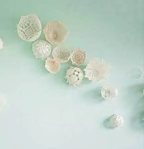 DIY Doily Backdrop