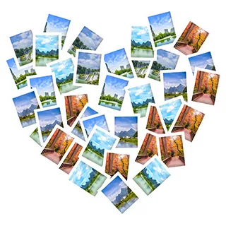 nature on canvas collage