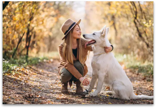 large canvas wall art