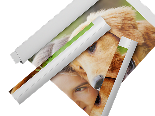 large canvas wall art