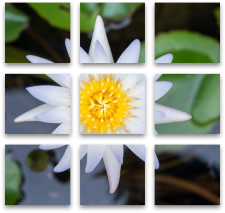 canvas style minimalistic