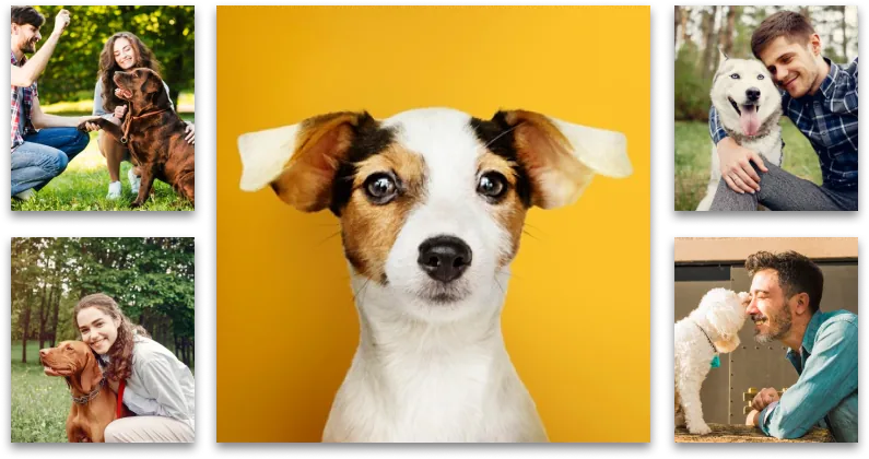 family walldispay canvas