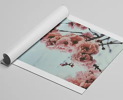 canvas print without frame